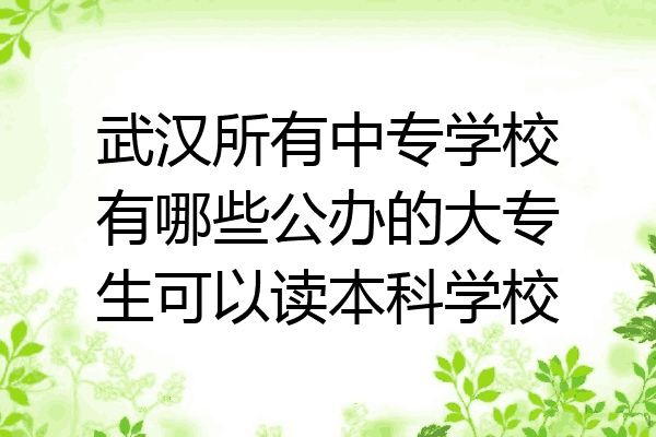 武汉所有中专学校有哪些公办的大专生可以读本科学校
