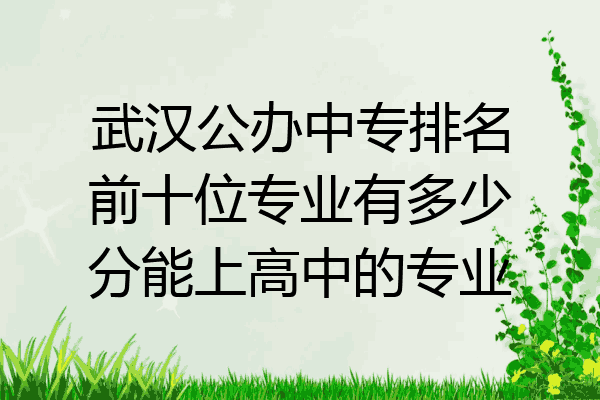 武汉公办中专排名前十位专业有多少分能上高中的专业