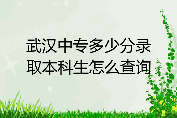武汉中专多少分录取本科生怎么查询
