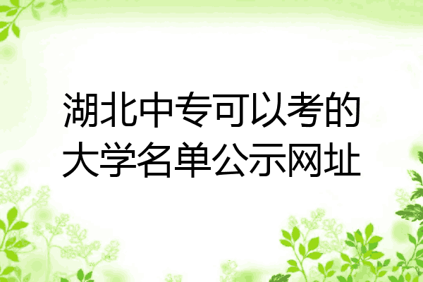 湖北中专可以考的大学名单公示网址