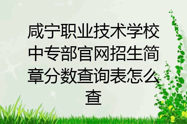 咸宁职业技术学校中专部官网招生简章分数查询表怎么查
