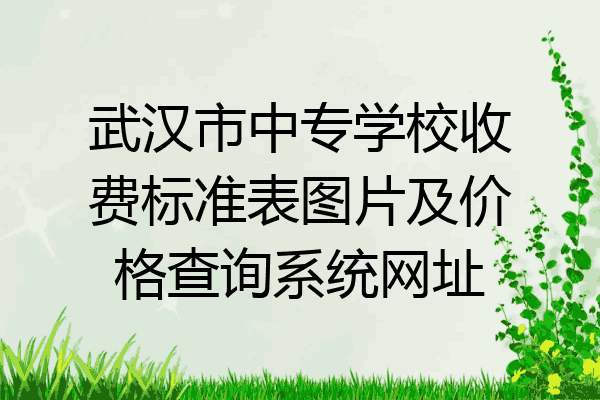 武汉市中专学校收费标准表图片及价格查询系统网址