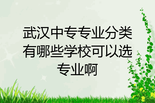 武汉中专专业分类有哪些学校可以选专业啊
