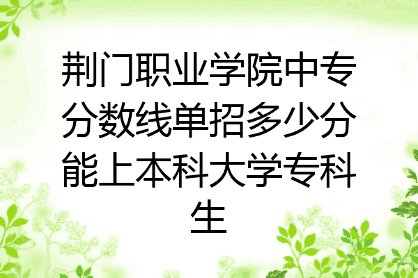 荆门职业学院中专分数线单招多少分能上本科大学专科生