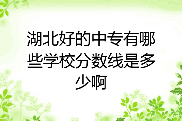 湖北好的中专有哪些学校分数线是多少啊