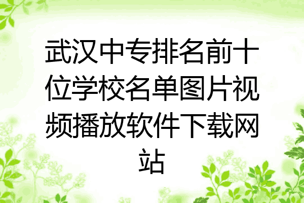 武汉中专排名前十位学校名单图片视频播放软件下载网站
