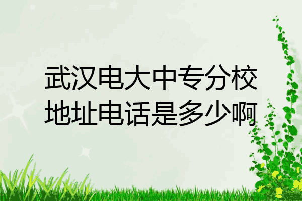 武汉电大中专分校地址电话是多少啊