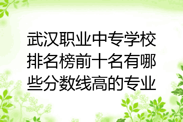 武汉职业中专学校排名榜前十名有哪些分数线高的专业