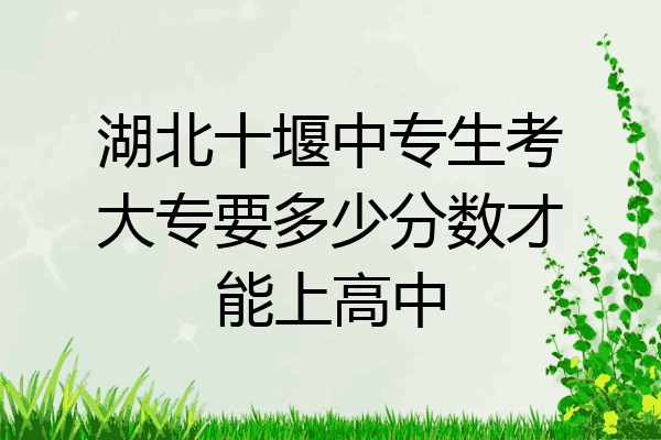 湖北十堰中专生考大专要多少分数才能上高中