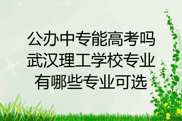 公办中专能高考吗武汉理工学校专业有哪些专业可选