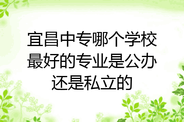 宜昌中专哪个学校最好的专业是公办还是私立的