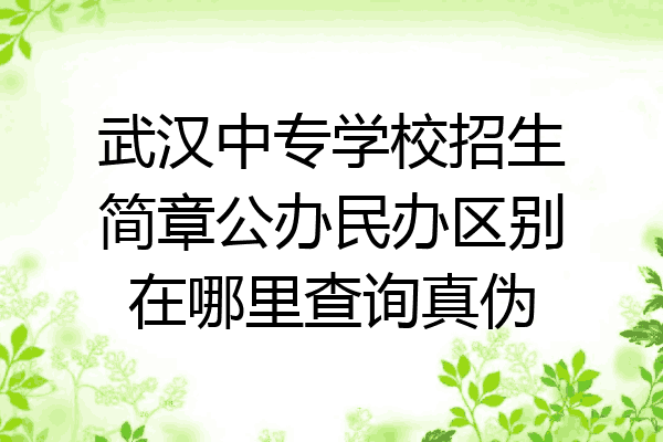 武汉中专学校招生简章公办民办区别在哪里查询真伪