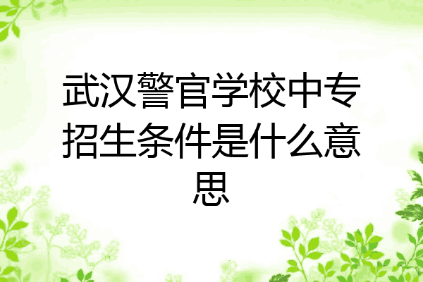 武汉警官学校中专招生条件是什么意思