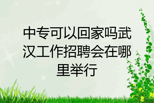 中专可以回家吗武汉工作招聘会在哪里举行