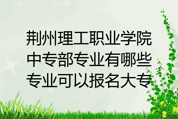 荆州理工职业学院中专部专业有哪些专业可以报名大专