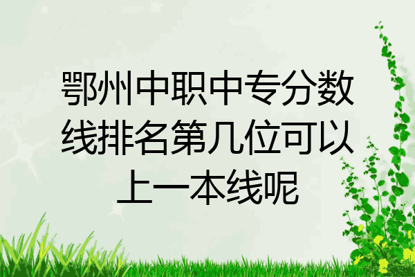 鄂州中职中专分数线排名第几位可以上一本线呢