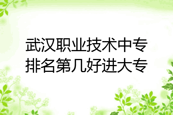 武汉职业技术中专排名第几好进大专