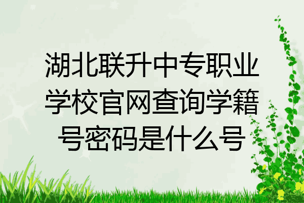 湖北联升中专职业学校官网查询学籍号密码是什么号