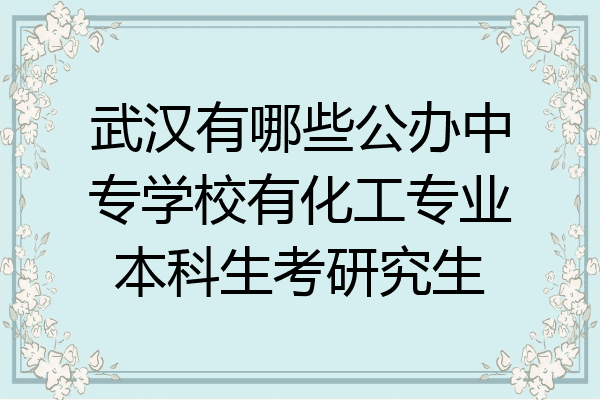 武汉有哪些公办中专学校有化工专业本科生考研究生