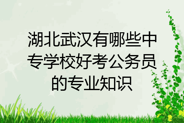 湖北武汉有哪些中专学校好考公务员的专业知识