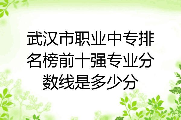 武汉市职业中专排名榜前十强专业分数线是多少分
