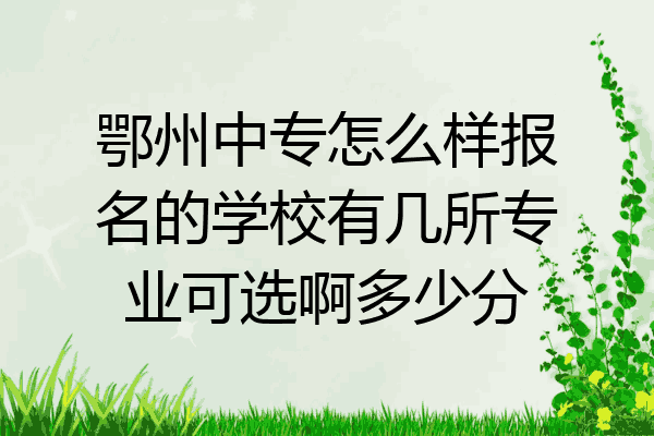 鄂州中专怎么样报名的学校有几所专业可选啊多少分