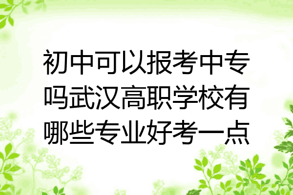 初中可以报考中专吗武汉高职学校有哪些专业好考一点