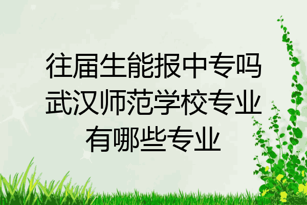 往届生能报中专吗武汉师范学校专业有哪些专业