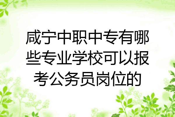 咸宁中职中专有哪些专业学校可以报考公务员岗位的
