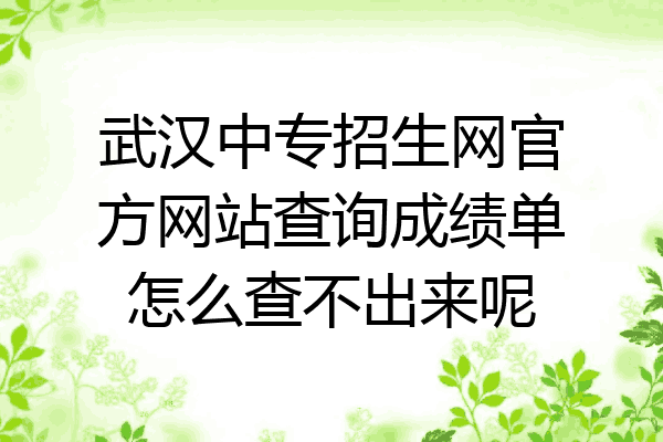 武汉中专招生网官方网站查询成绩单怎么查不出来呢