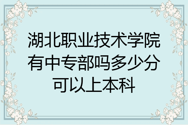 湖北职业技术学院有中专部吗多少分可以上本科
