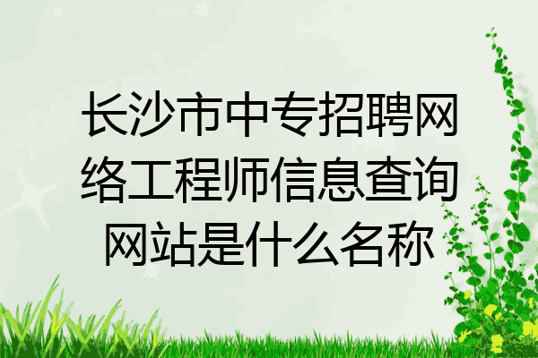 长沙市中专招聘网络工程师信息查询网站是什么名称