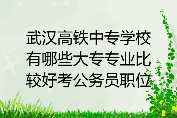 武汉高铁中专学校有哪些大专专业比较好考公务员职位