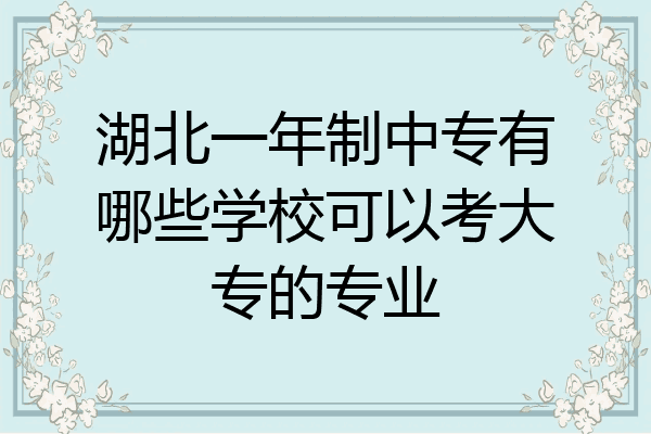 湖北一年制中专有哪些学校可以考大专的专业