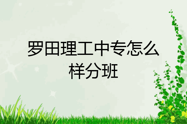 罗田理工中专怎么样分班
