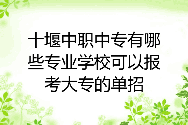 十堰中职中专有哪些专业学校可以报考大专的单招