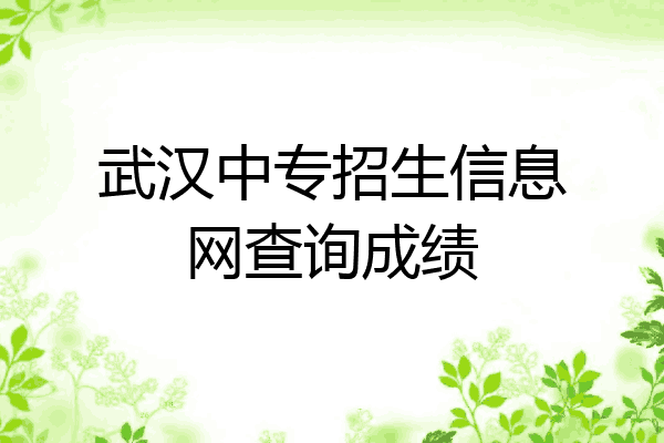 武汉中专招生信息网查询成绩
