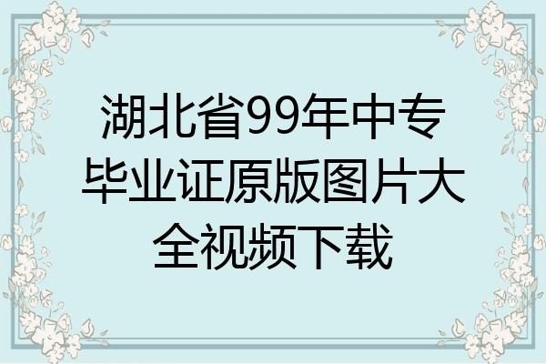湖北省99年中专毕业证原版图片大全视频下载