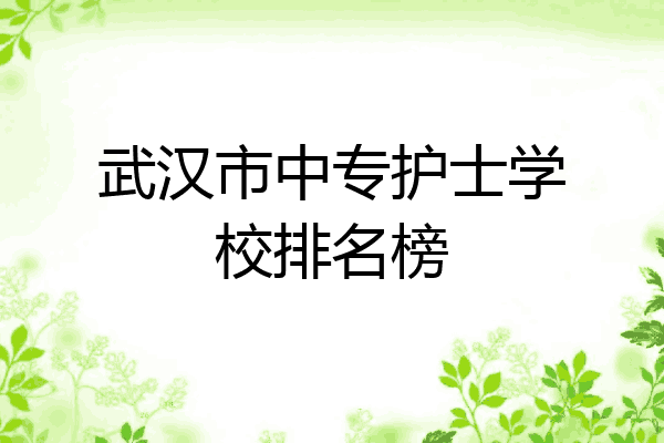 武汉市中专护士学校排名榜