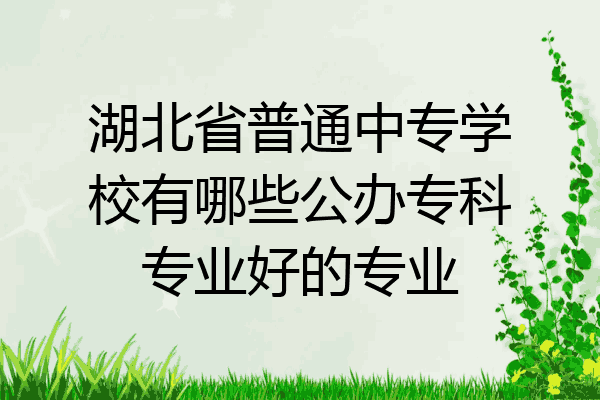 湖北省普通中专学校有哪些公办专科专业好的专业