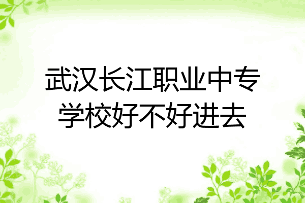 武汉长江职业中专学校好不好进去