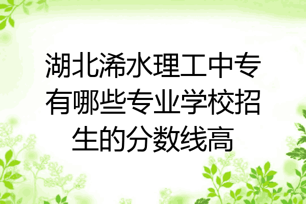 湖北浠水理工中专有哪些专业学校招生的分数线高