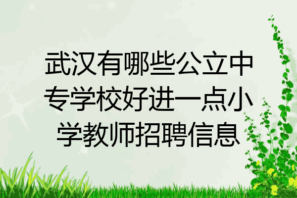 武汉有哪些公立中专学校好进一点小学教师招聘信息