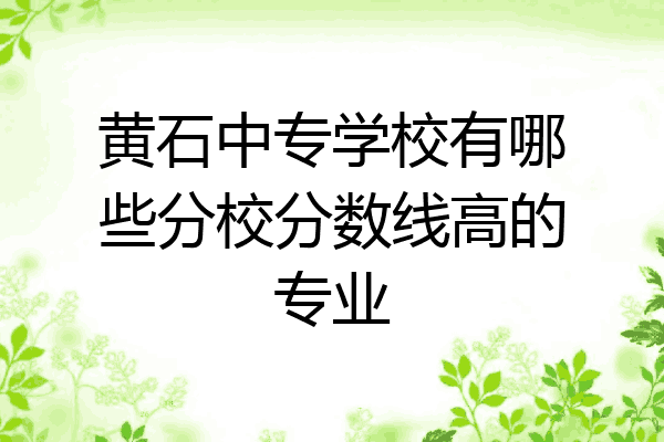 黄石中专学校有哪些分校分数线高的专业