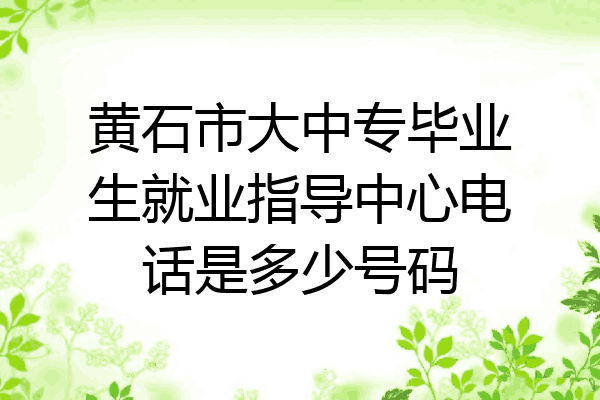 黄石市大中专毕业生就业指导中心电话是多少号码