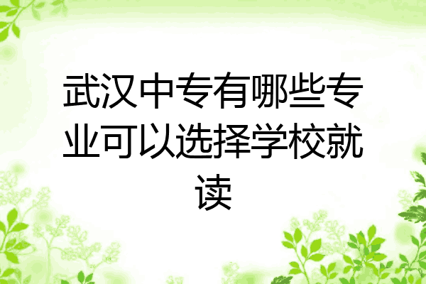 武汉中专有哪些专业可以选择学校就读