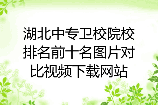 湖北中专卫校院校排名前十名图片对比视频下载网站