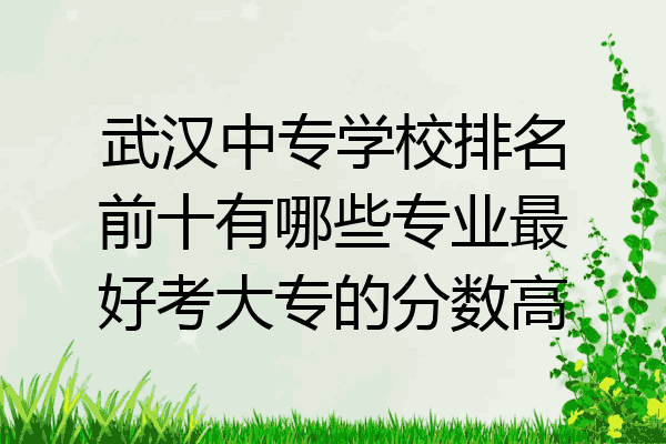 武汉中专学校排名前十有哪些专业最好考大专的分数高