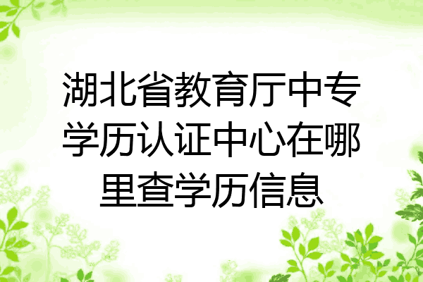 湖北省教育厅中专学历认证中心在哪里查学历信息