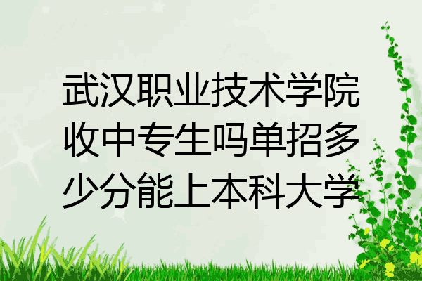 武汉职业技术学院收中专生吗单招多少分能上本科大学